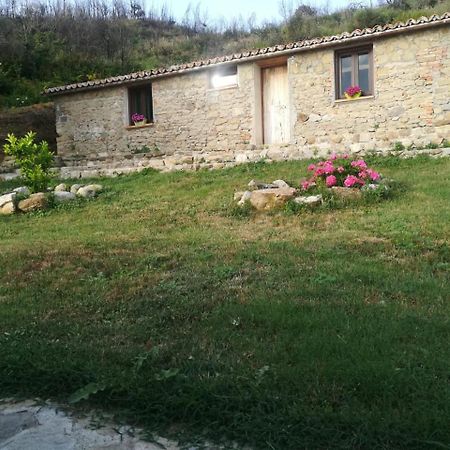 Il Cerro Agriturismo Zagarese Fuscaldo Eksteriør bilde