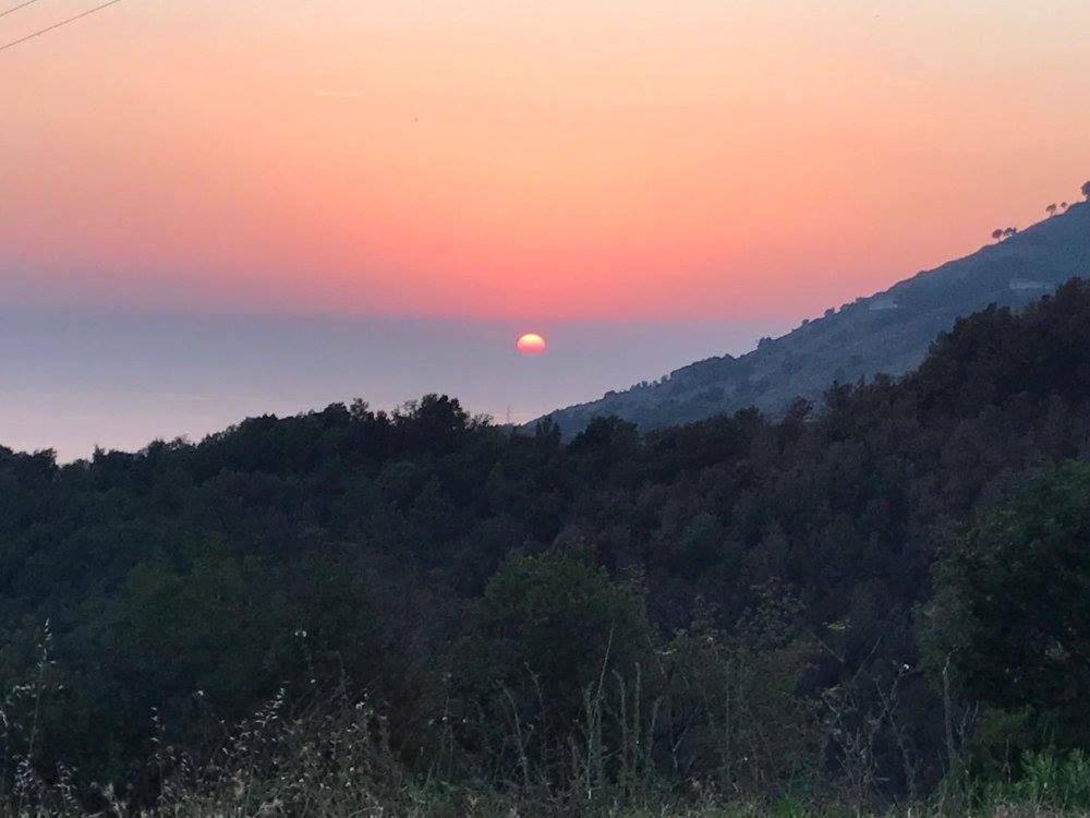 Il Cerro Agriturismo Zagarese Fuscaldo Eksteriør bilde