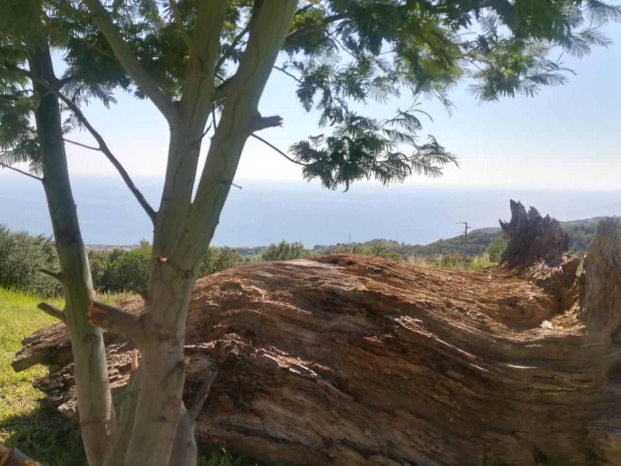 Il Cerro Agriturismo Zagarese Fuscaldo Eksteriør bilde